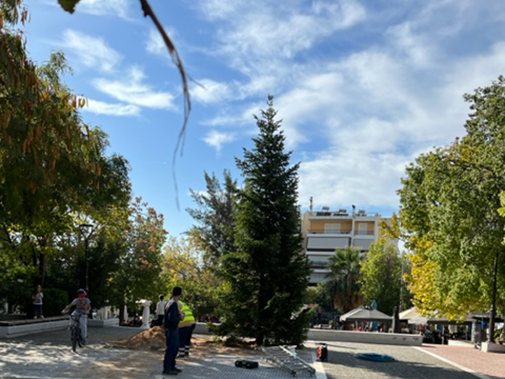 Ο Δήμος Αγίων Αναργύρων–Καματερού μεταφύτευσε φυσικά δέντρα για τα Χριστούγεννα